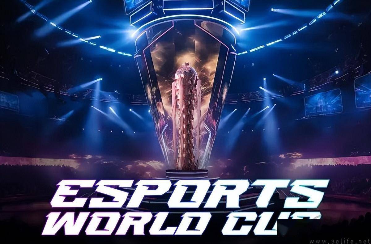 丰富的实战 丰富的实战