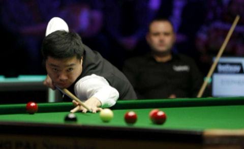 中拥有极高 中拥有极高