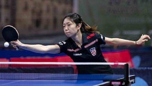 的灵活性 的灵活性