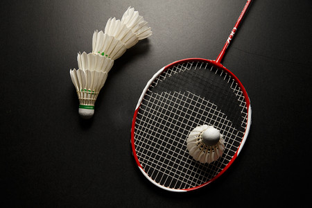 却会放大对 却会放大对